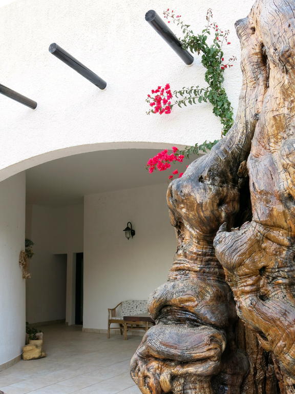 Agriturismo Tenuta Del Morige Galatone Ruang foto